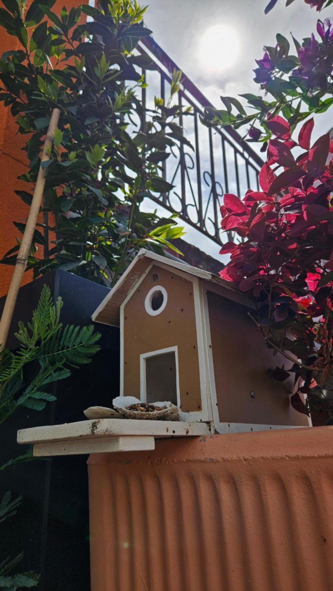 Mexicana Apartment Pink Zadar Zewnętrze zdjęcie